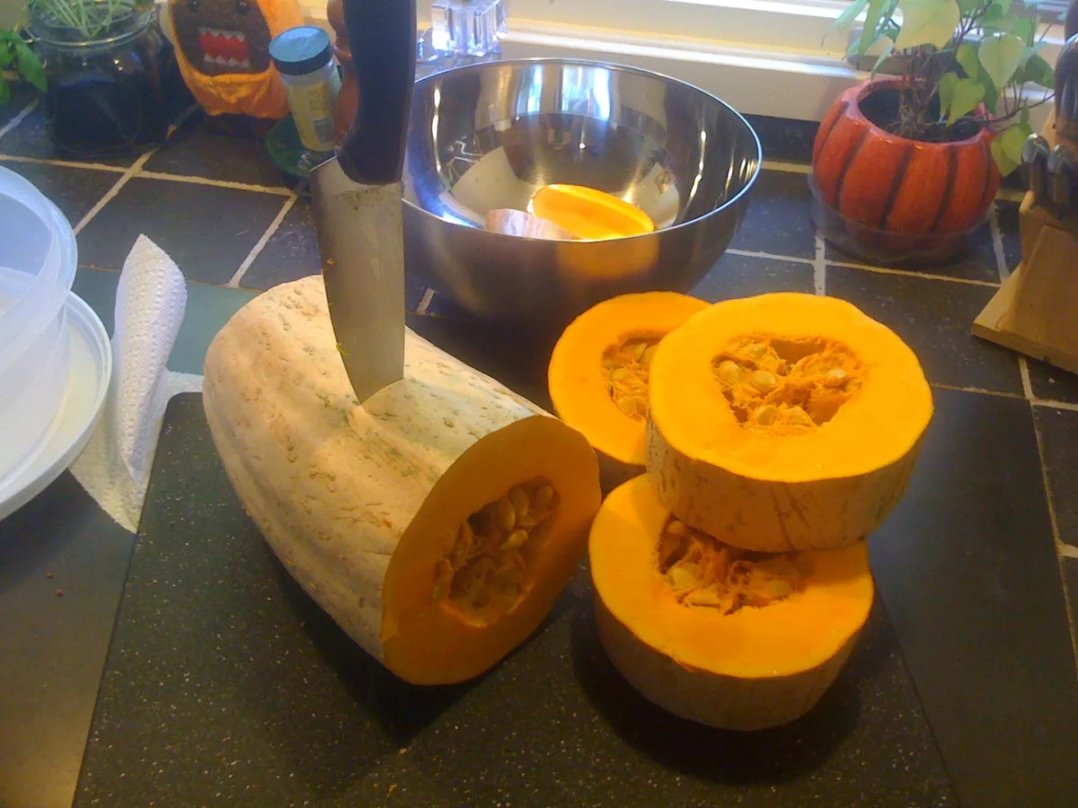바나나 스쿼시(Cucurbita maxima) — 길쭉한 베이지색 호박과 주황색 단면
