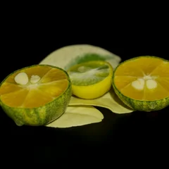 Calamondin Orange