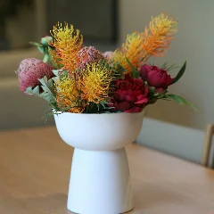 Pincushion Flower